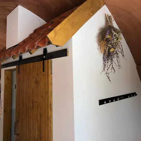 Tinyhouse In Bakkeveen Exterior photo
