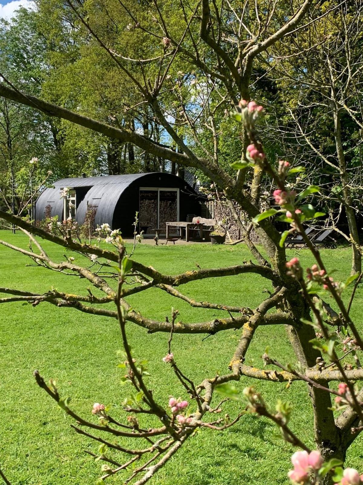 Ferienhaus Tinyhouse In Bakkeveen